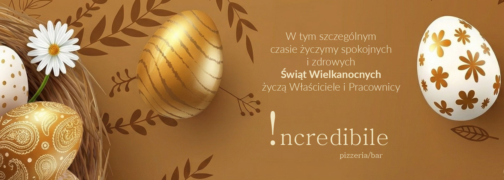 Incredibile Kraków Dietla 113